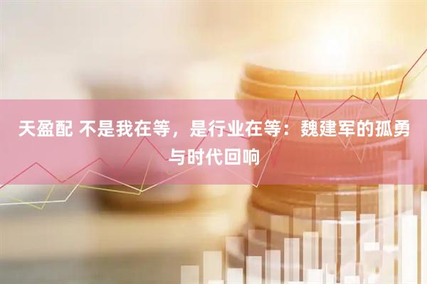 天盈配 不是我在等，是行业在等：魏建军的孤勇与时代回响