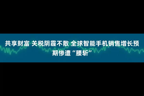 共享财富 关税阴霾不散 全球智能手机销售增长预期惨遭“腰斩”