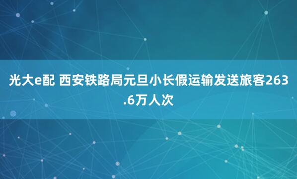 光大e配 西安铁路局元旦小长假运输发送旅客263.6万人次